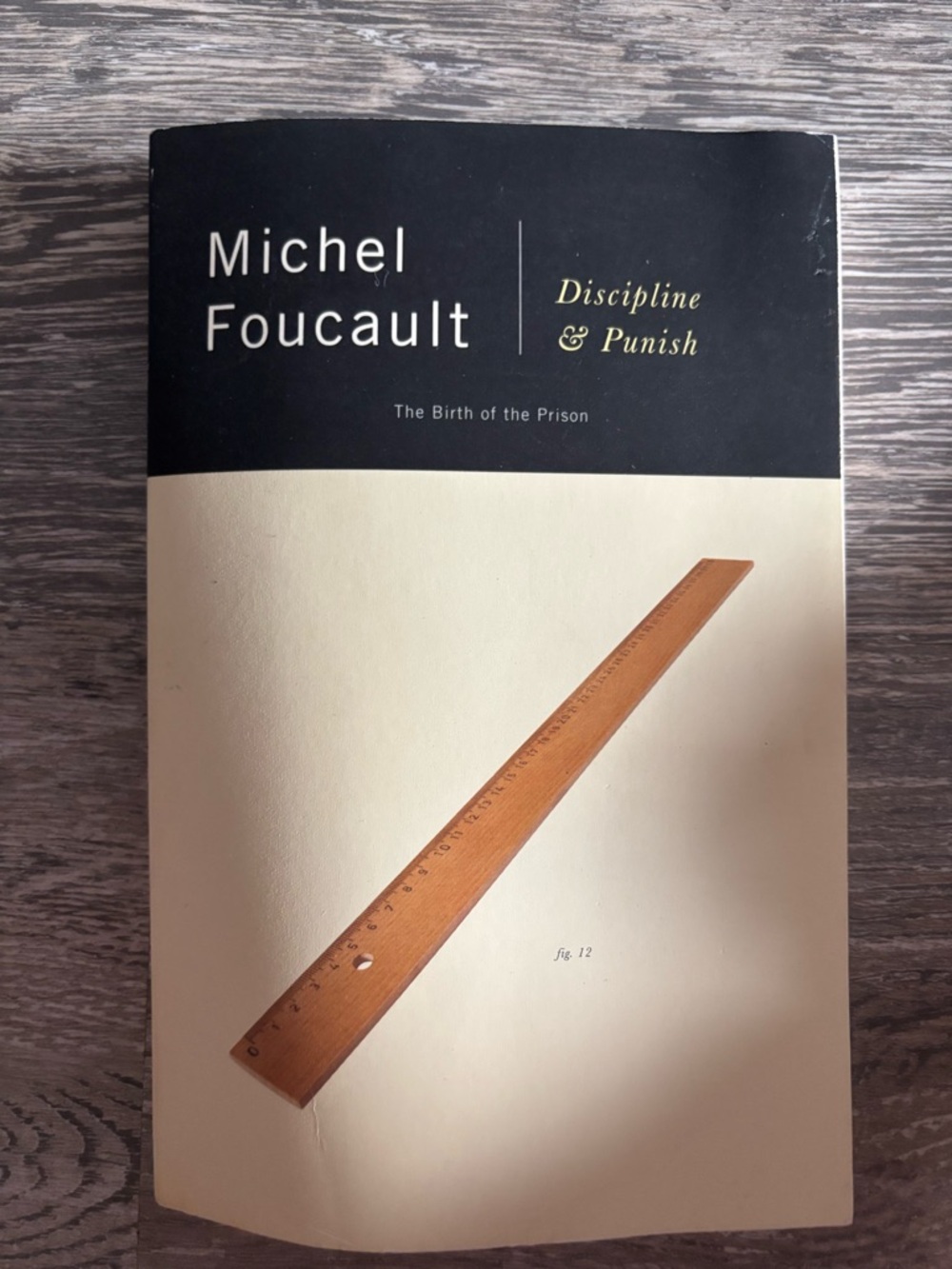 Michel Foucault "Discipline & Punish" Paperback - Black and Cream Cover